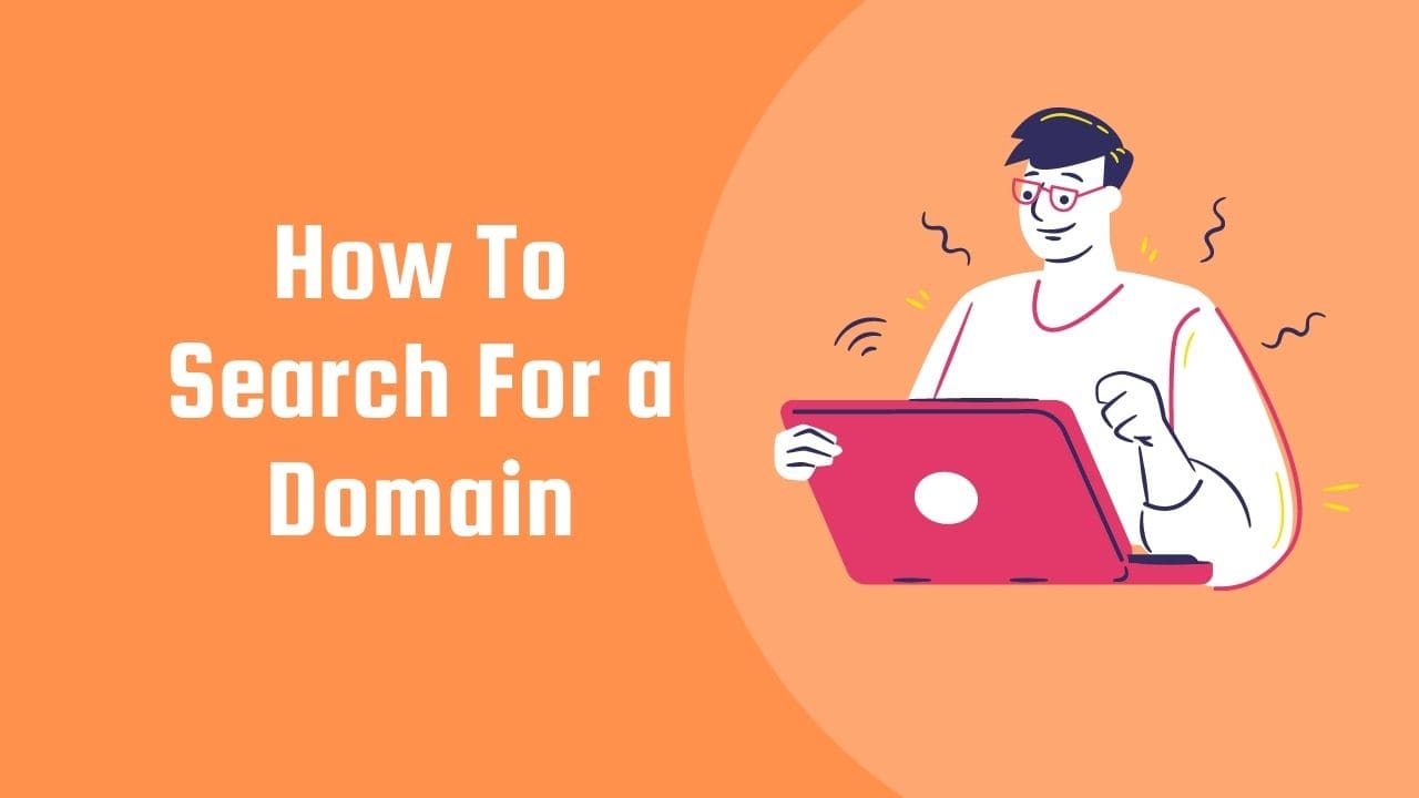 How To Search For a Domain