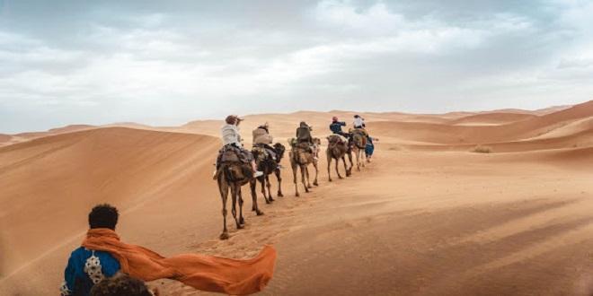Few facts about the desert safari Dubai